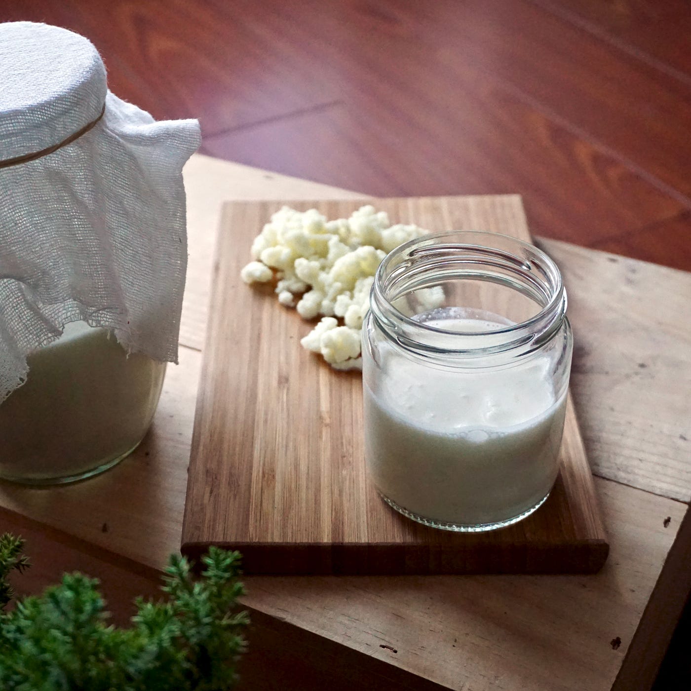 Cómo preparar un buen kéfir con leches vegetales