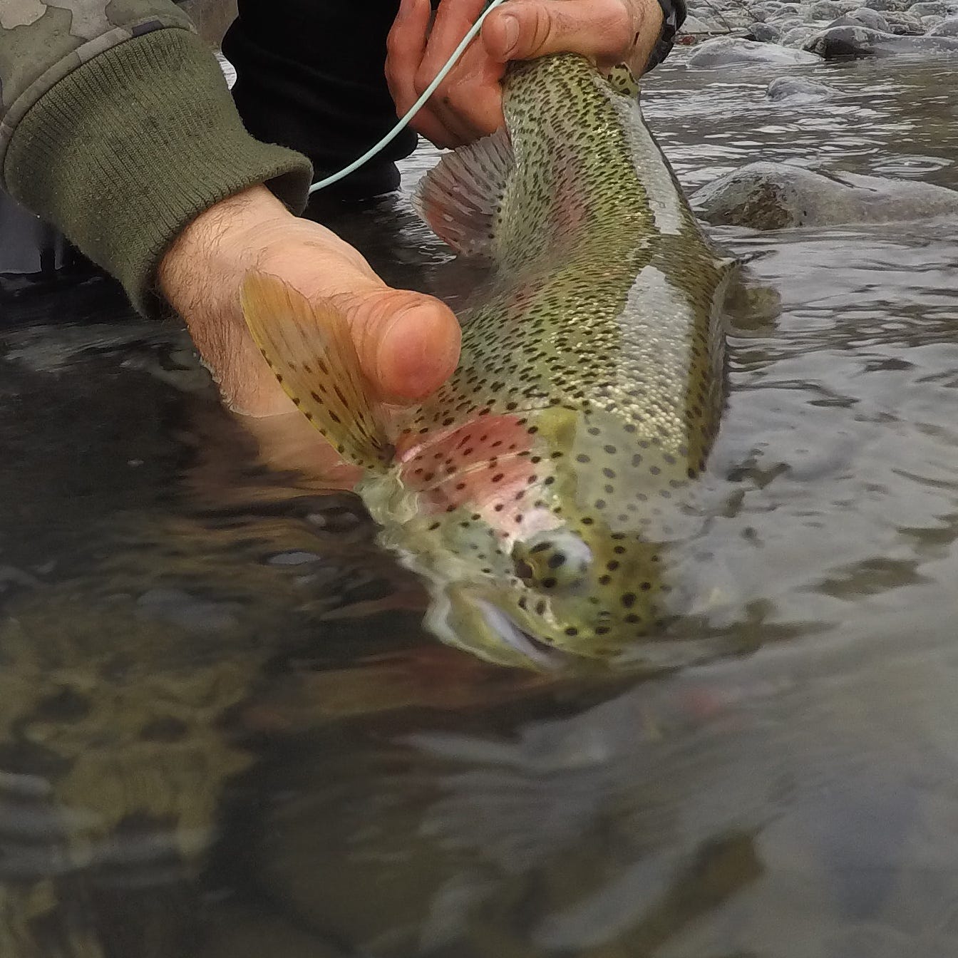Trout Spey: What's The Point?. Anyone who has ever swung a fly for any…, by David A Lisi
