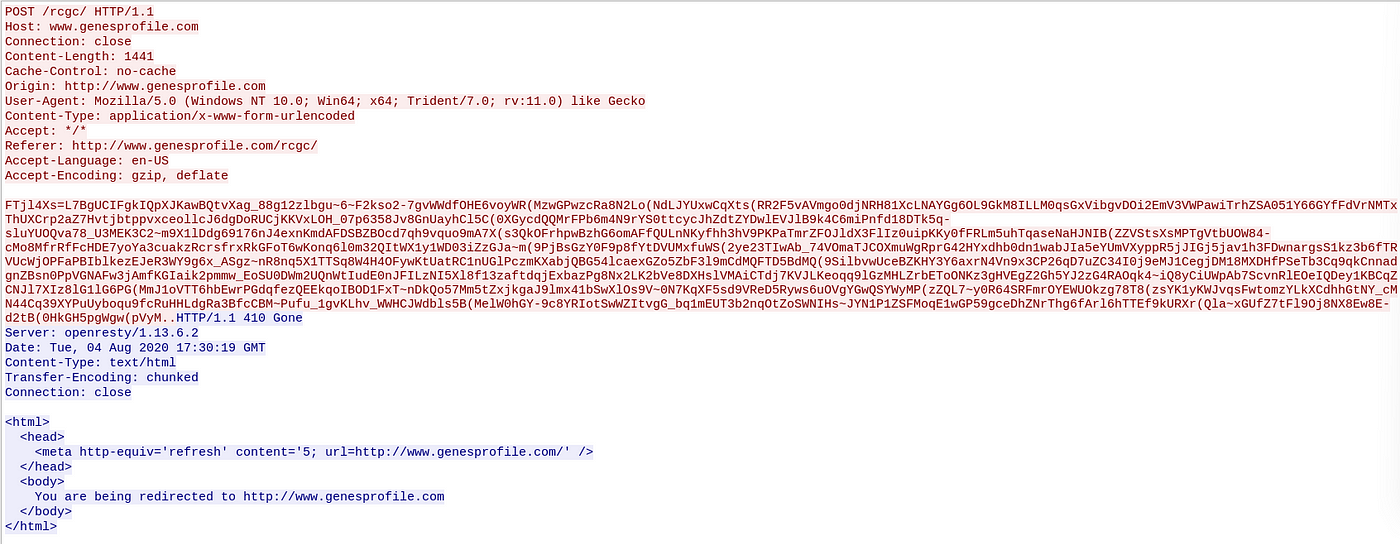 Malware analysis rbx.exe Malicious activity