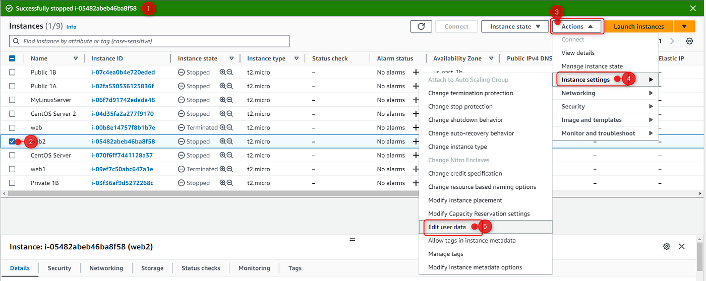 Launch EC2 Instances from a Custom AMI | by Adedokun Adu | AWS in