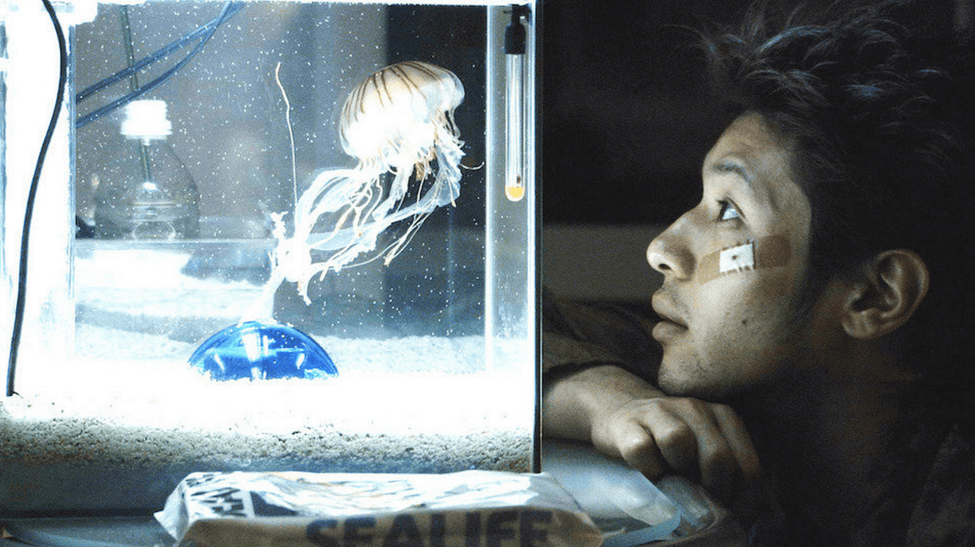 BRIGHT FUTURE (2002, Japan, Kiyoshi Kurosawa)