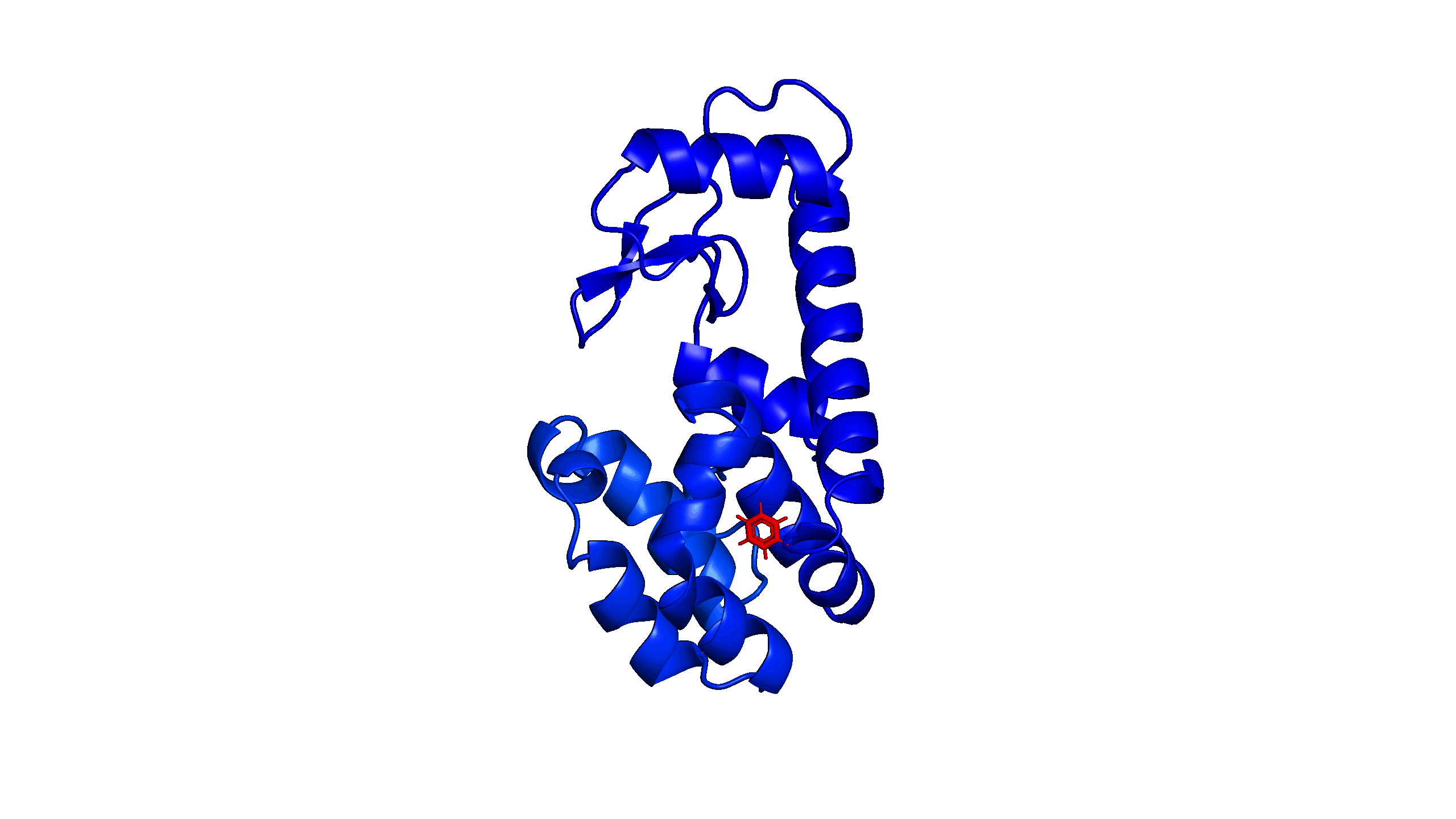 Watching the invisible dance of atoms — lysozyme flexing and breathing as benzene explores its binding pocket.