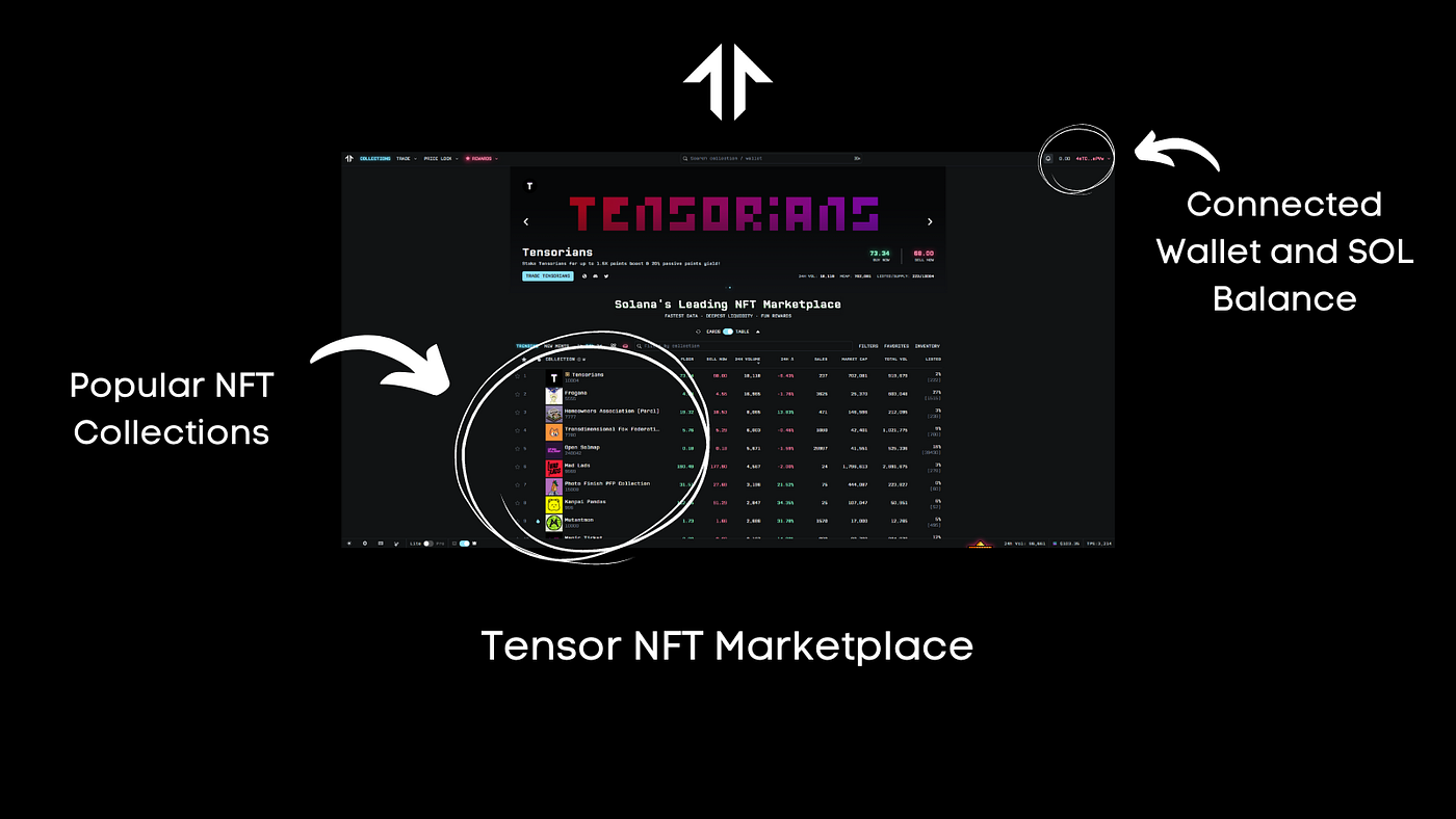 Unveiling the Solana Ecosystem: A Beginners Guide to Decentralized Finance  and NFTs | by Fletch | SOL | Medium