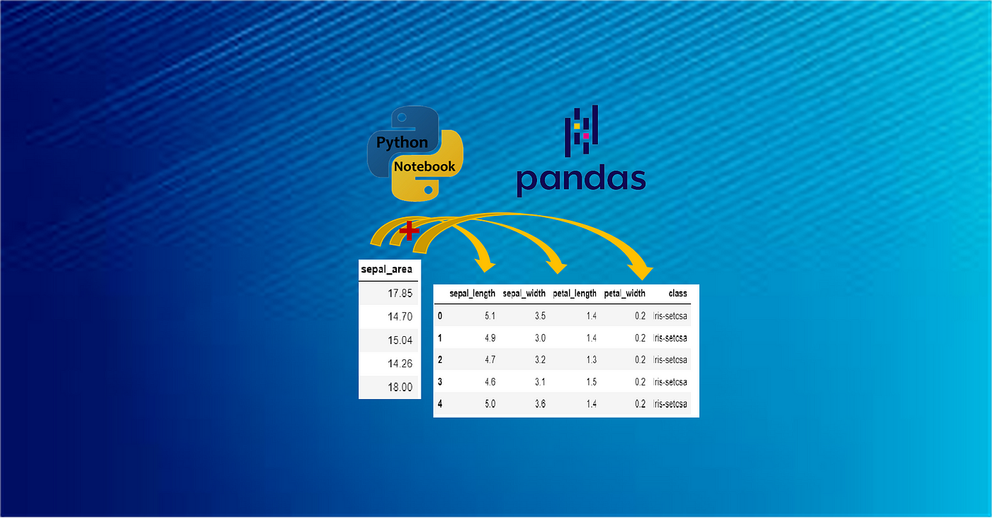 7 Practical Methods to Add Columns in a DataFrame of Pandas | by Dr. Shouke  Wei | Medium