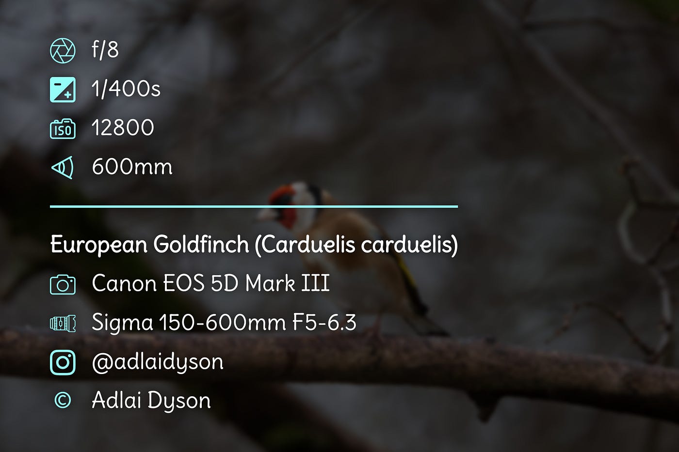 Example of Output from EXIF Overlay.