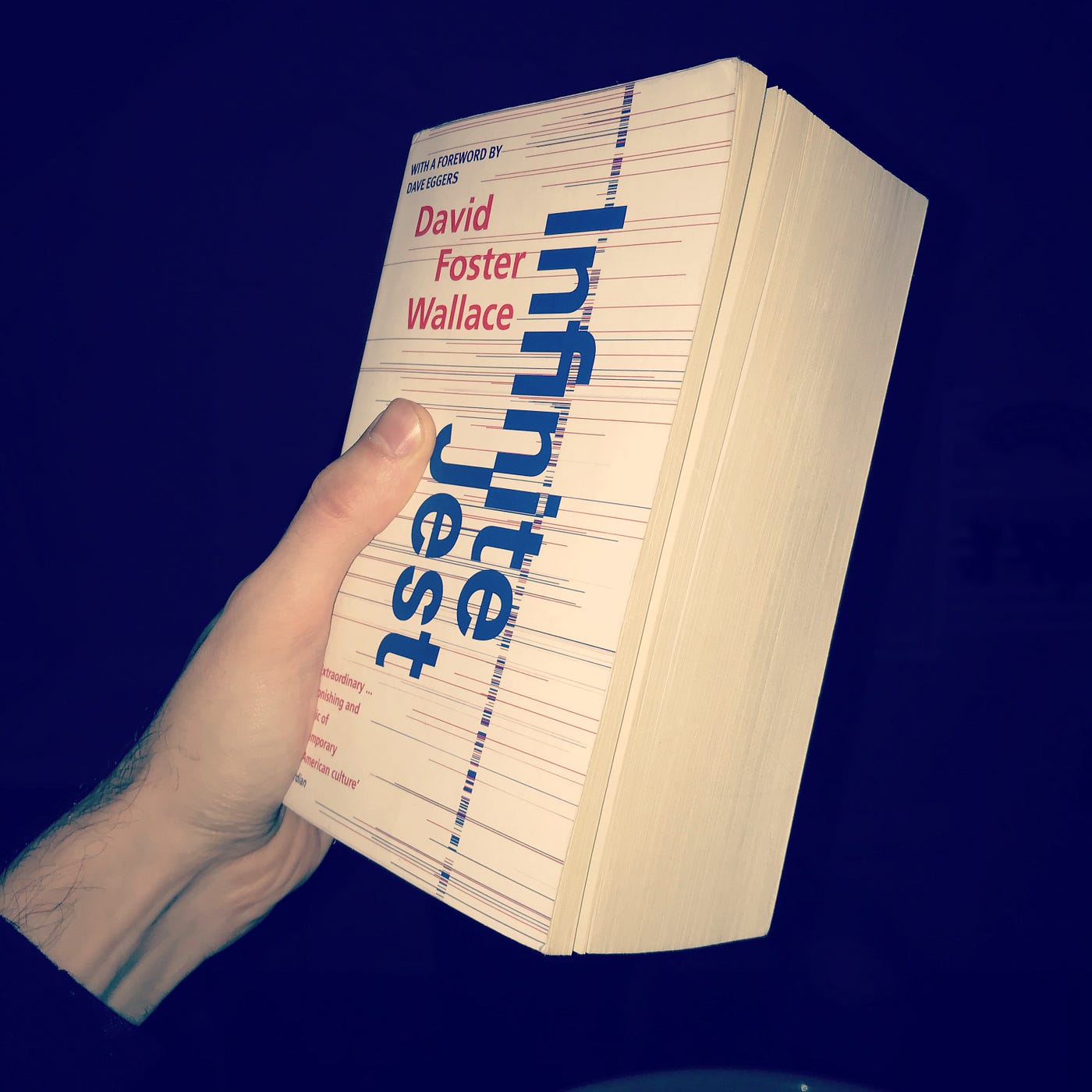 Some people have read Infinite Jest, by Tomas Ramanauskas