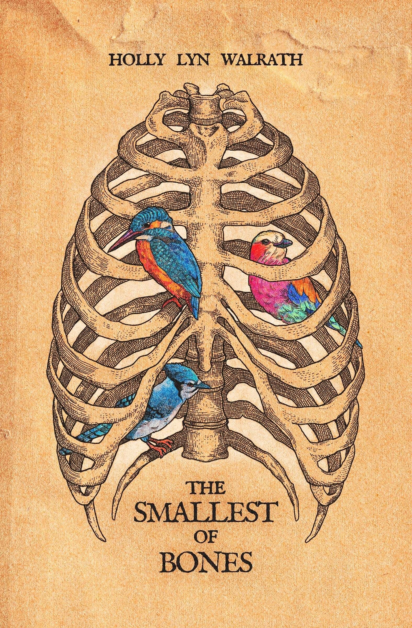 The Smallest of Bones Nominated for the SFPA Elgin Award for Best  Speculative Poetry Book, by Holly Lyn Walrath