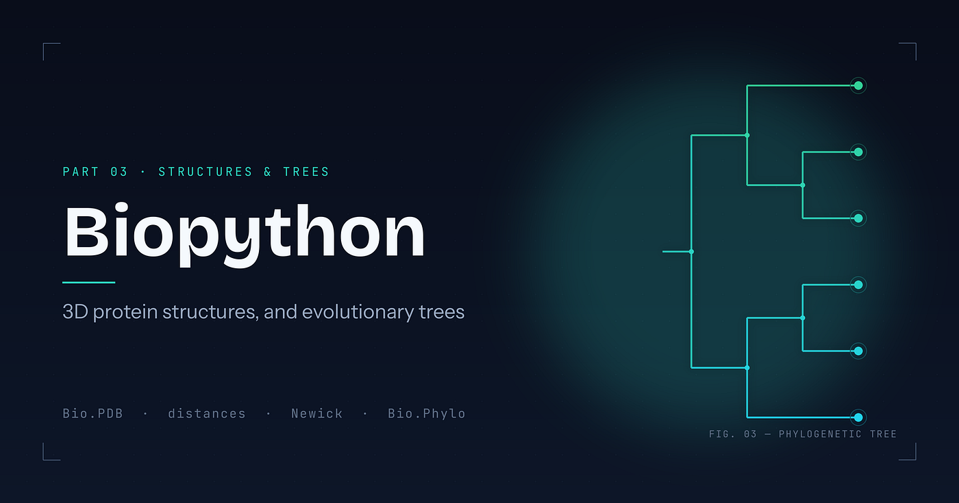 Biopython: Protein shapes and Phylogenetic trees — Part 3