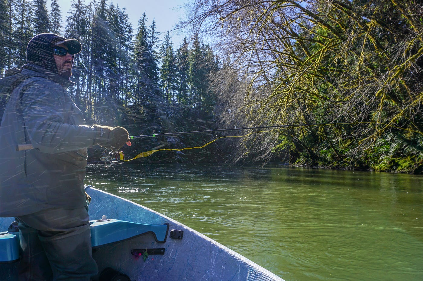 How coastal steelhead managers are working to conserve Washington's State  Fish, by The Washington Department of Fish and Wildlife
