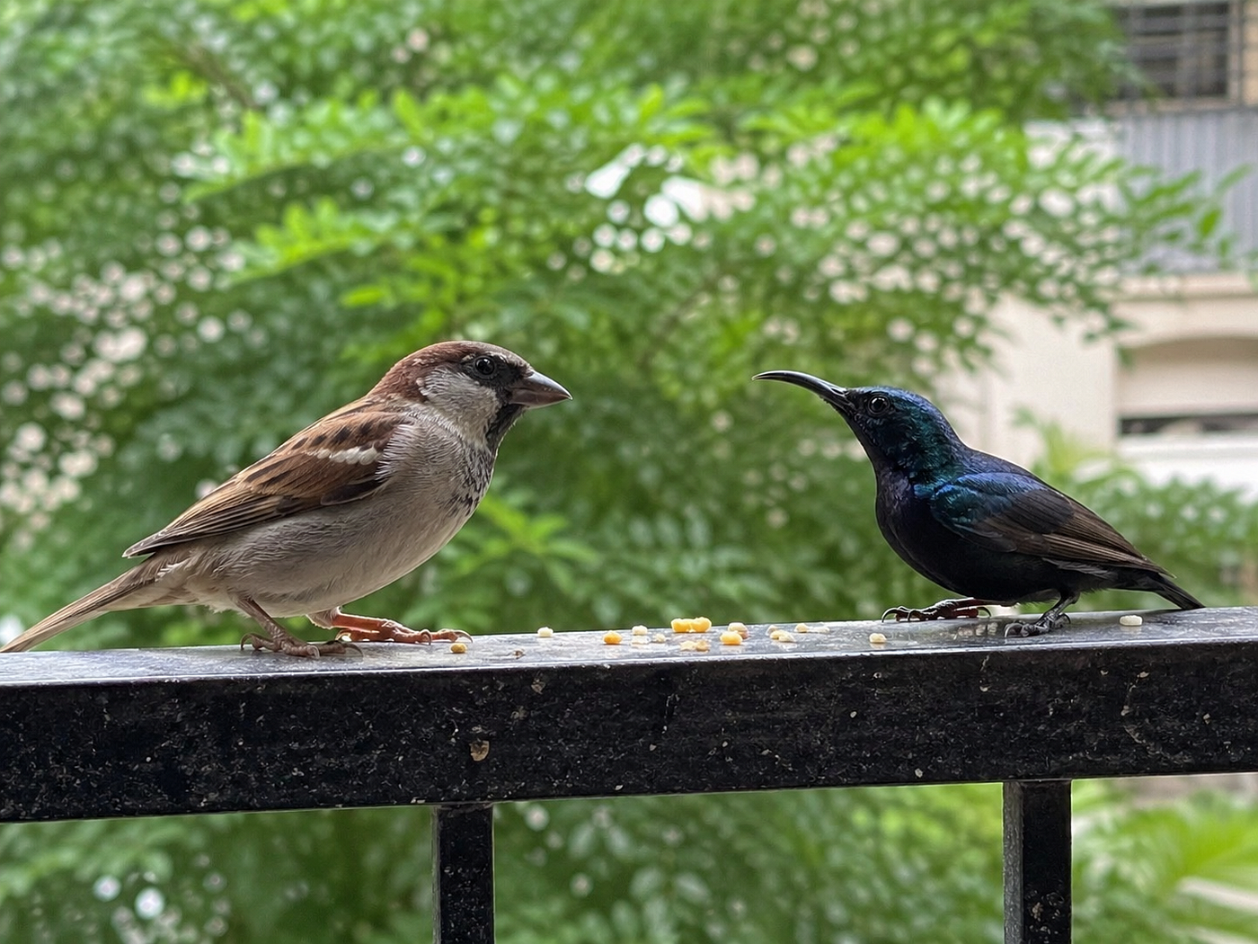 Some happiness doesn’t make noise. It just quietly sits… like a bird on your window.