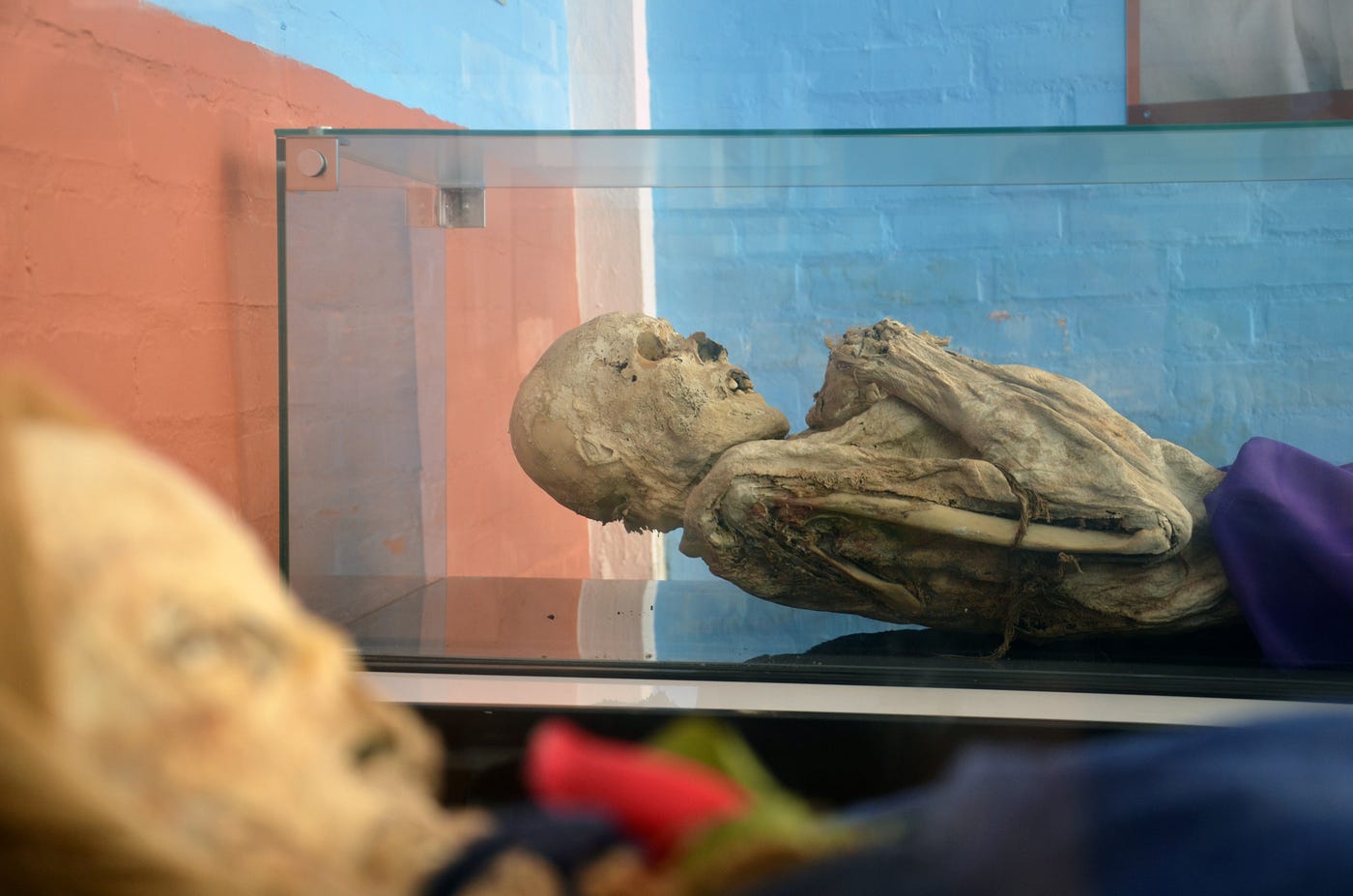 Las momias de San Bernardo: un enigma colombiano | by Marian Colina | Los  Pasos Perdidos | Medium