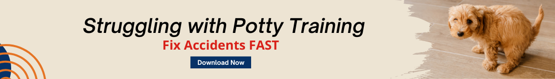 Why Does My Potty Trained Dog Keep Having Accidents: Surprising Causes Revealed