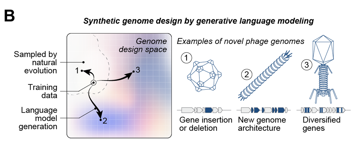 AI Just Designed a Living Virus From Scratch… | by Rohit Kumar
