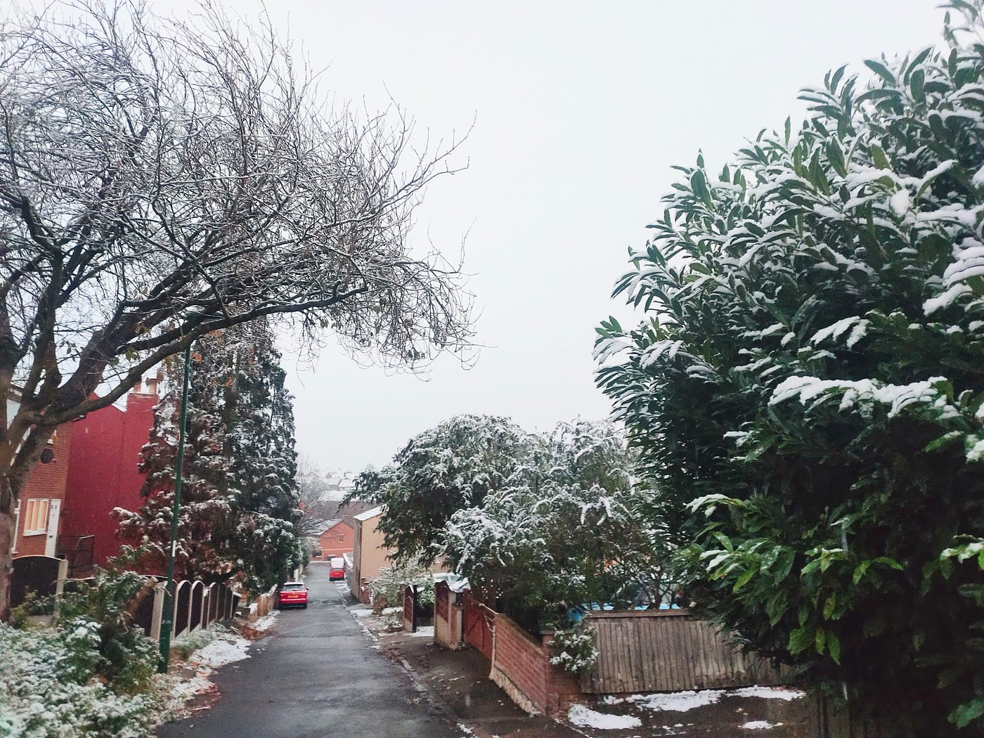 The Most Magical and Beautiful Walk I Had at Thorneywood Rise in Nottingham