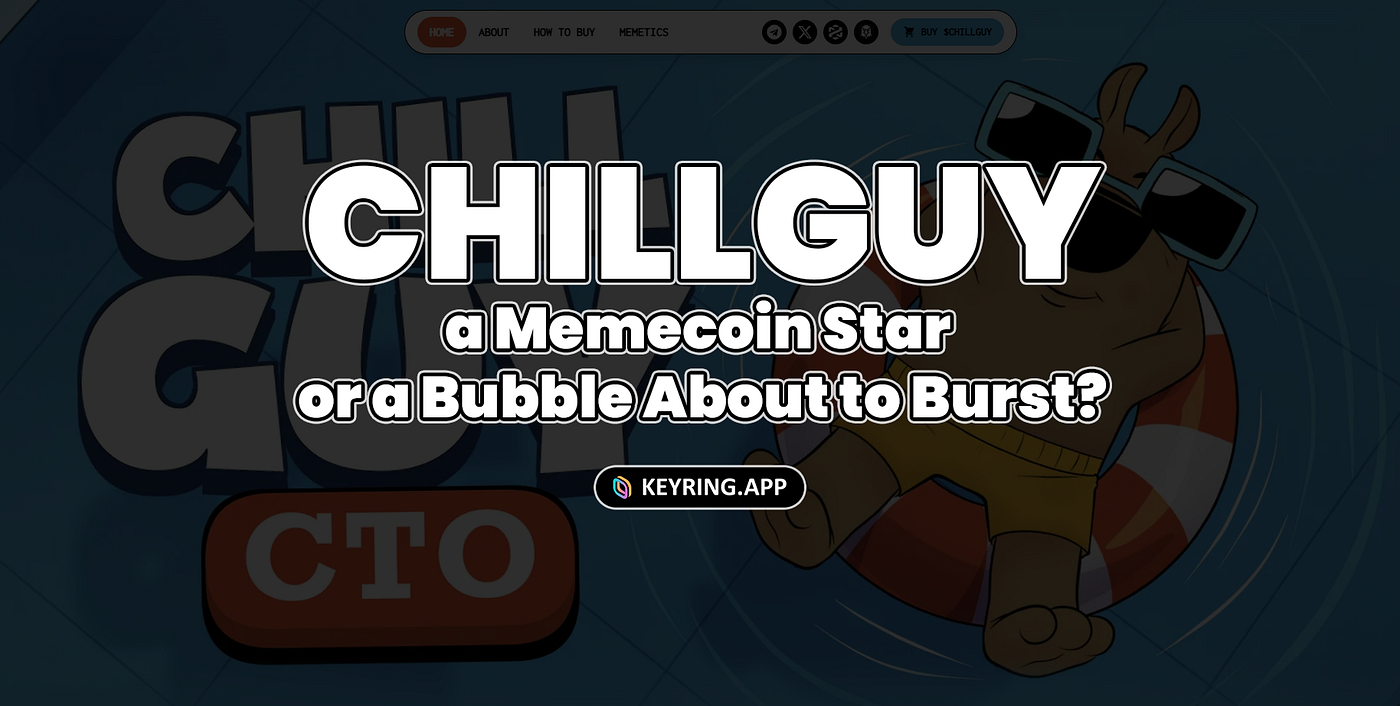 CHILLGUY: a Memecoin Star or a Bubble About to Burst? | by Antony  Threecores | Medium