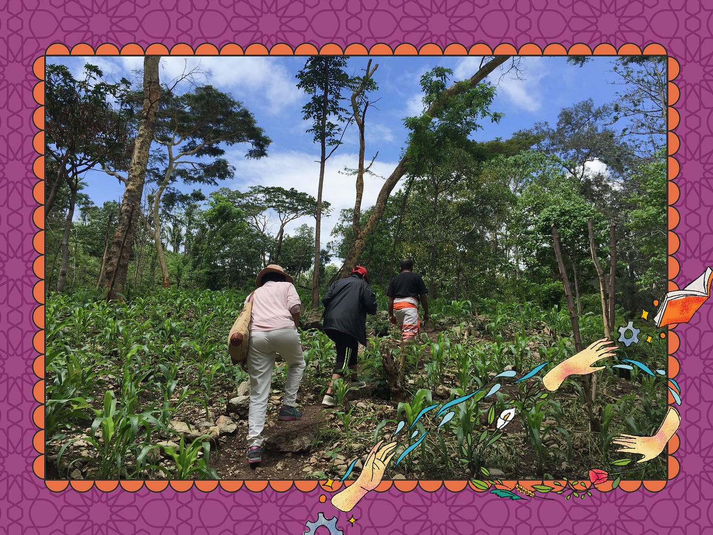 A forest in So’e, East Nusa Tenggara, Indonesia that is protected by indigenous communities that shared and passed down local wisdom and legends on water springs and food systems.