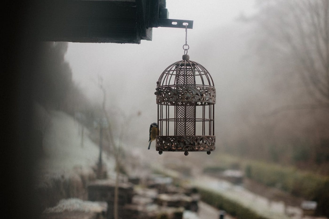 The Adaptation Trap