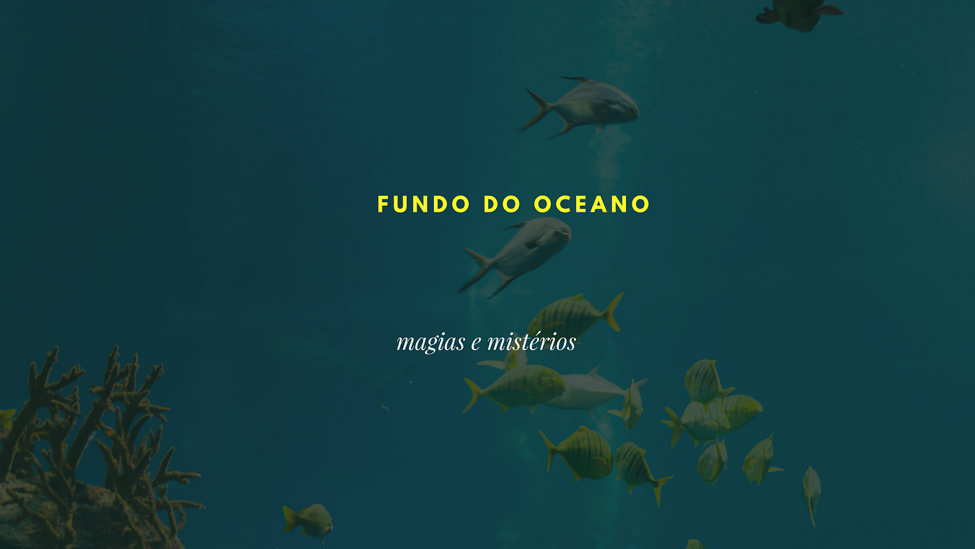 No fundo do mar
