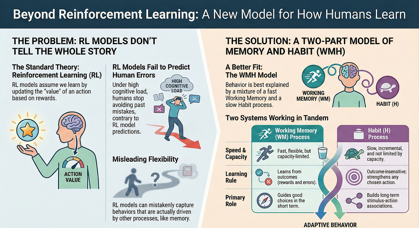 The Isomorphic Paradigm of Reinforcement Learning: How Non-RL Working Memory and…
