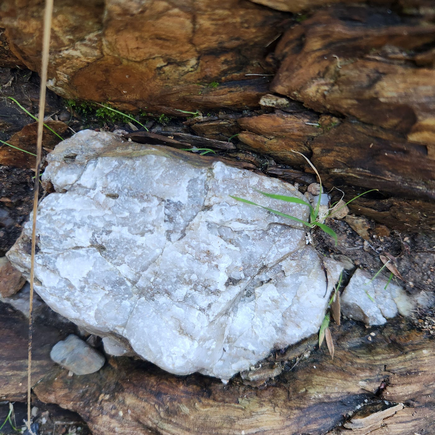 Rocks