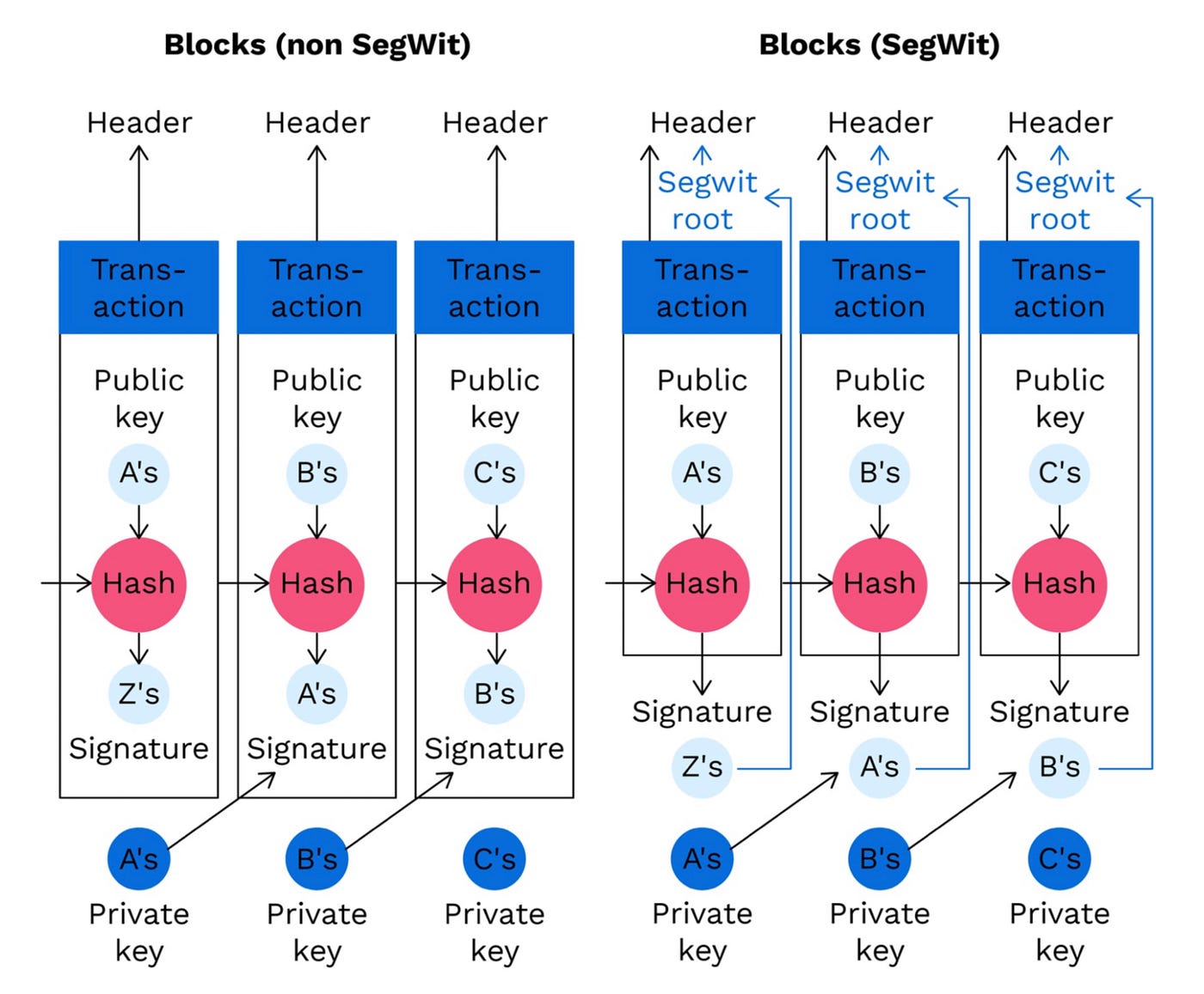 SegWit Depth Overview. Introduction: In this article, I am… | by achinta  das | Coinmonks | Medium