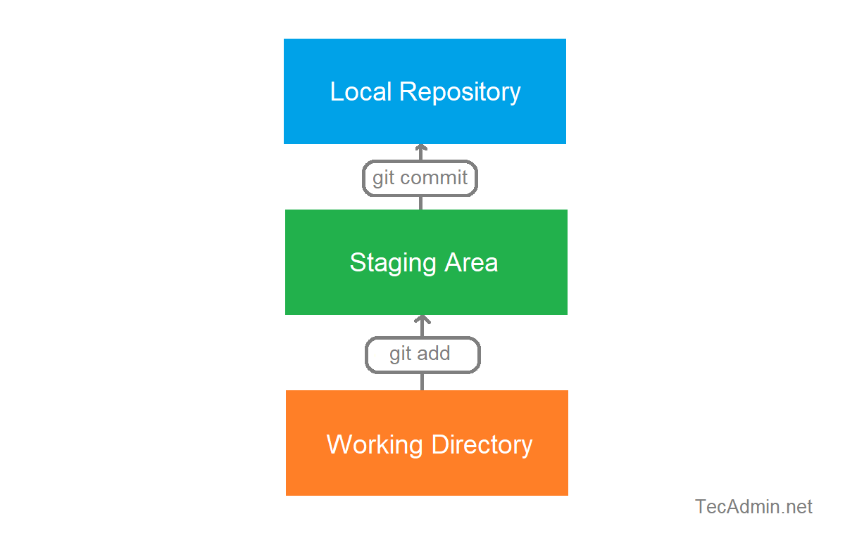 Git and GitHub Essentials: Part 1 — Setup to Merging | by Sangeeth 