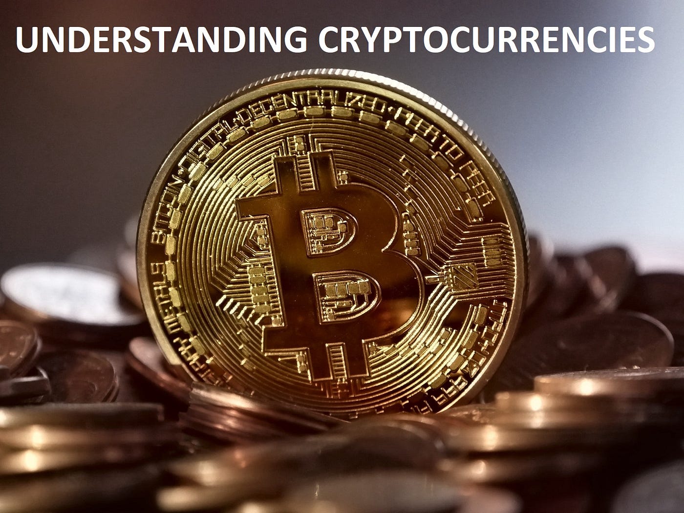 Cryptocurrency 101 — Basic Guide to Understanding Investments | by Mappo |  Medium