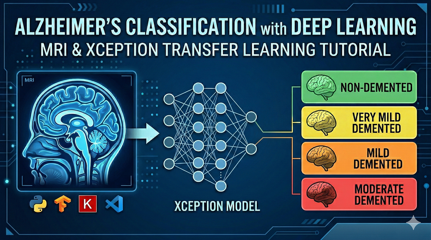 AI-Powered Neurology: Building an Alzheimer’s Classifier with Python and Xception