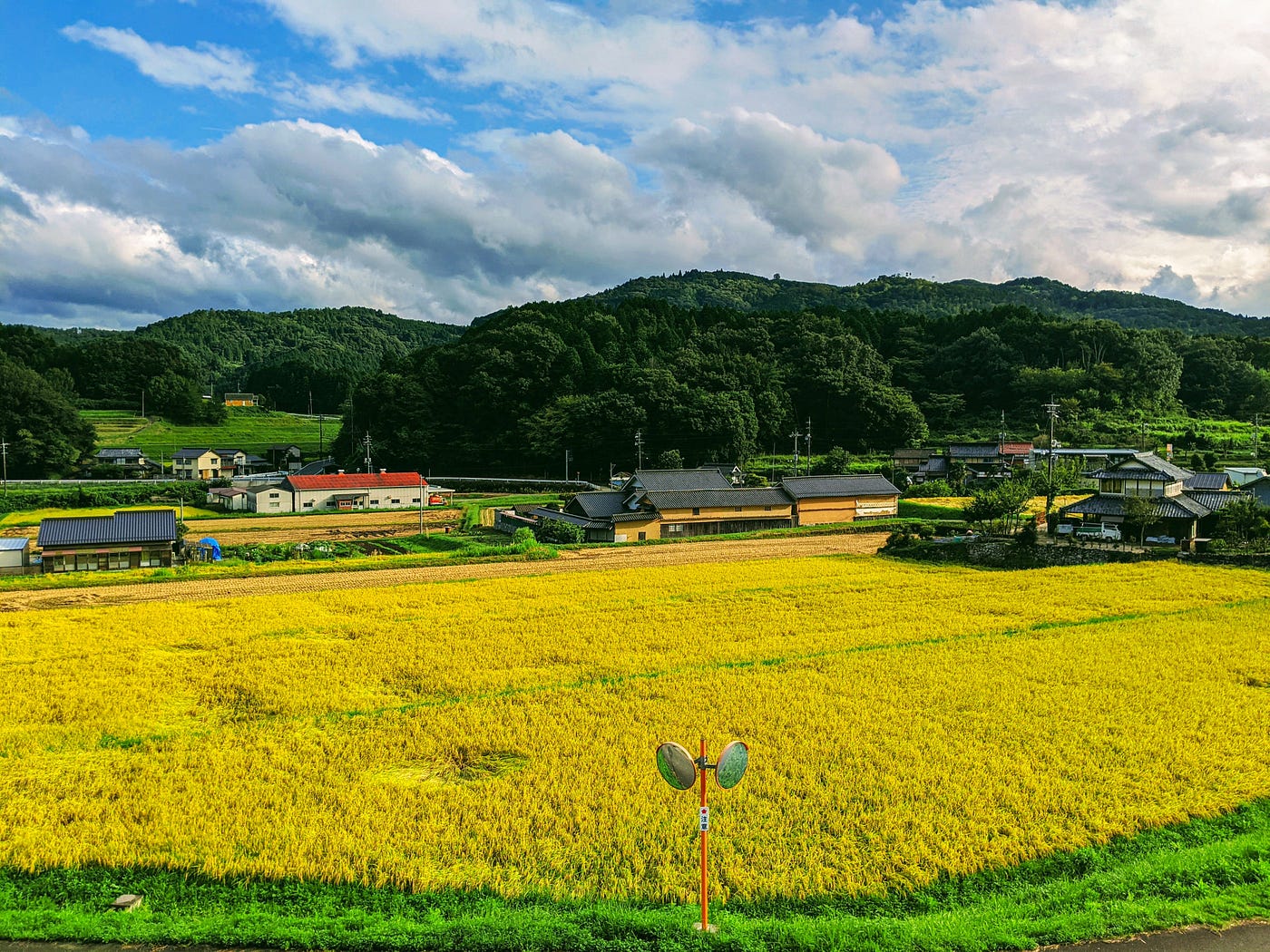 The 3 Secrets to Japanese Longevity Elemental