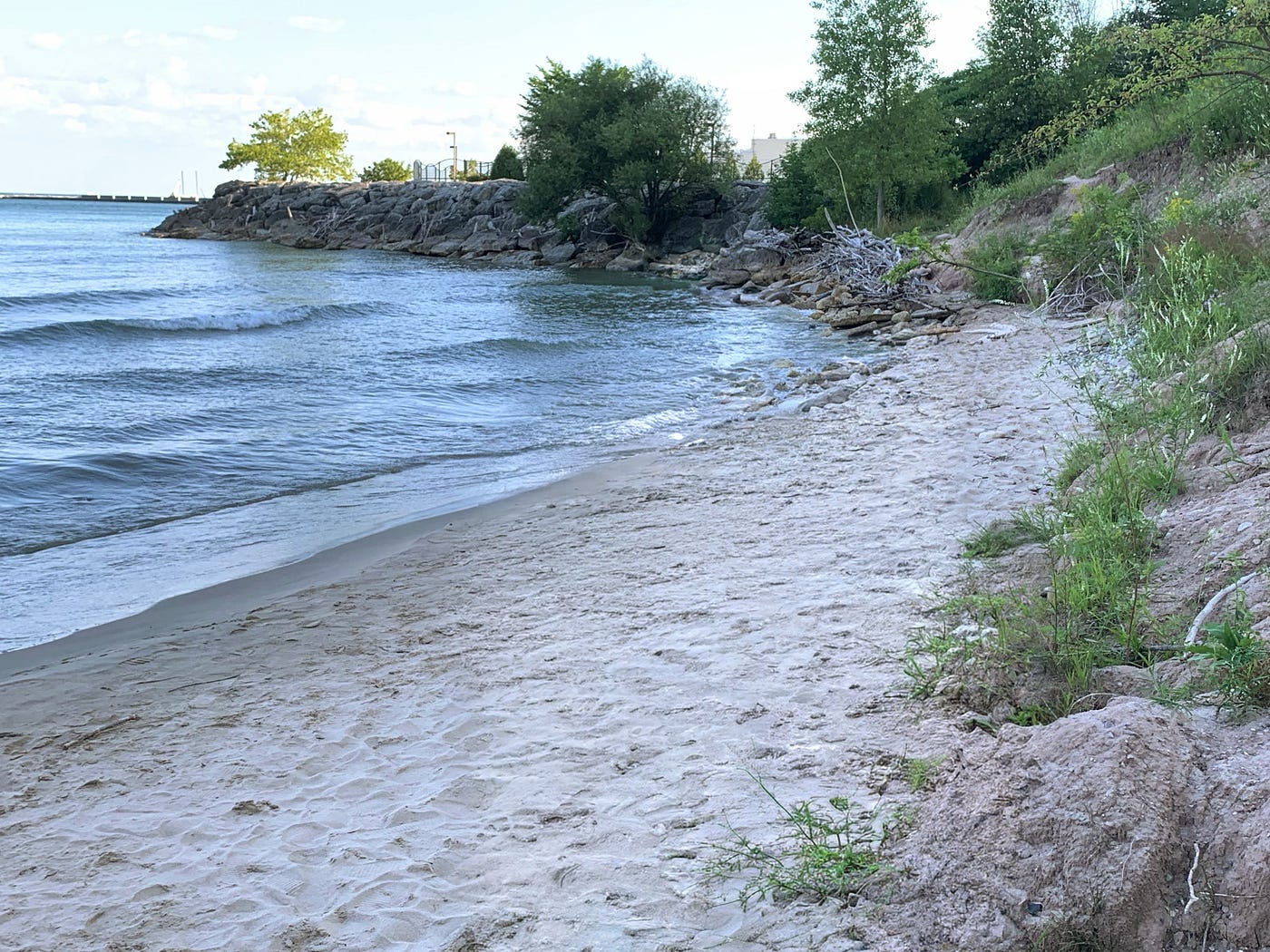 Driftwood comes ashore. Photo by Author