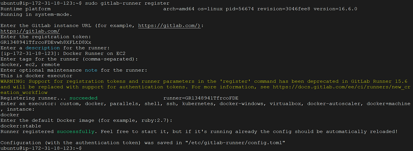 Configuring Multiple GitLab Runners on a Single AWS EC2 Ubuntu Instance |  by Mudasir | Medium