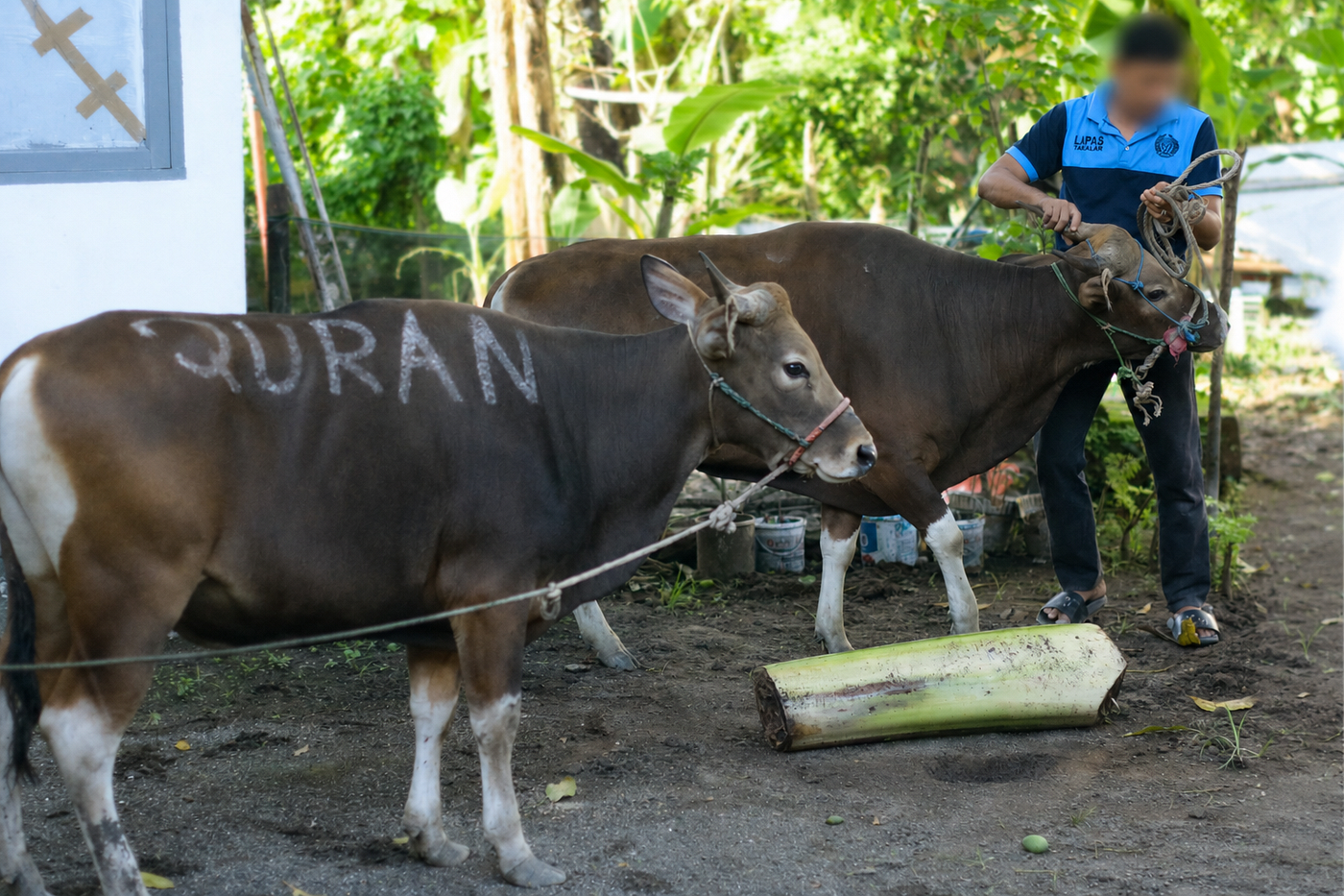 Lapas Takalar Laksanakan Penyembelihan Hewan Qurban, Wujudkan Semangat Berbagi dan Kepedulian
