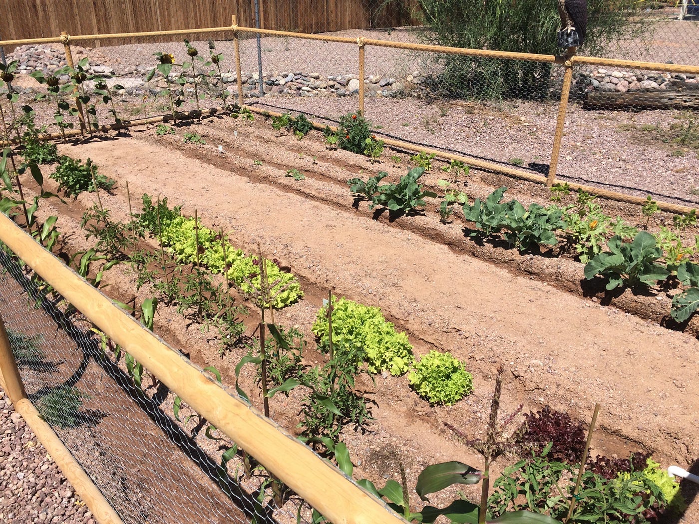 Incident Management: Farming in a Crisis
