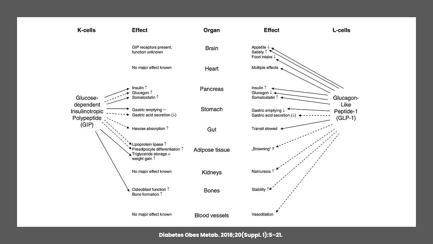 Hacking The Incretin Hormones. The hormones behind why Ozempic/… | by Dr. Jason  Fung