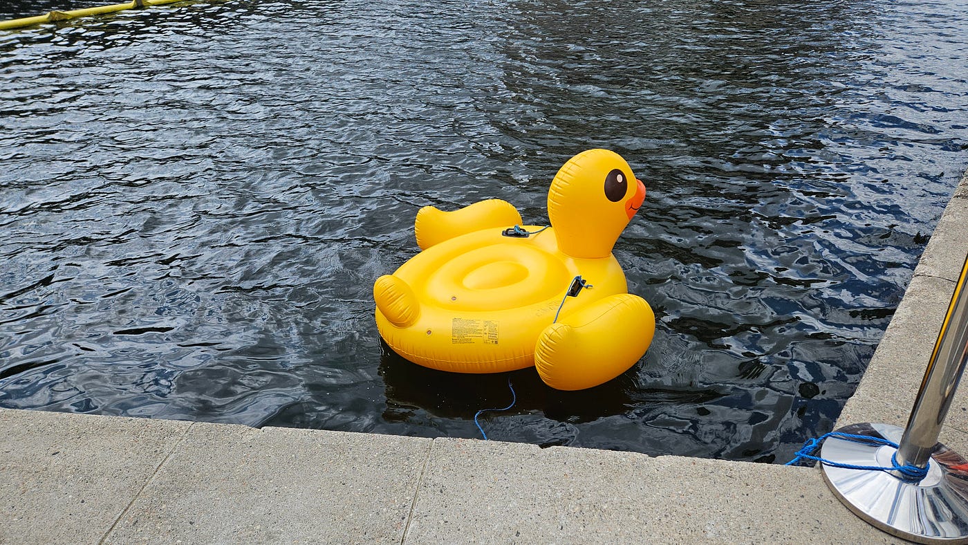 A Rubber Duck Race