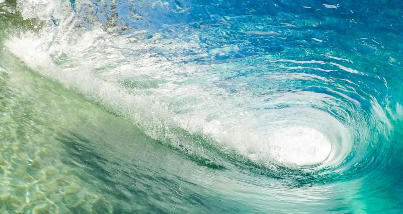 Ocean Token Model || 2023