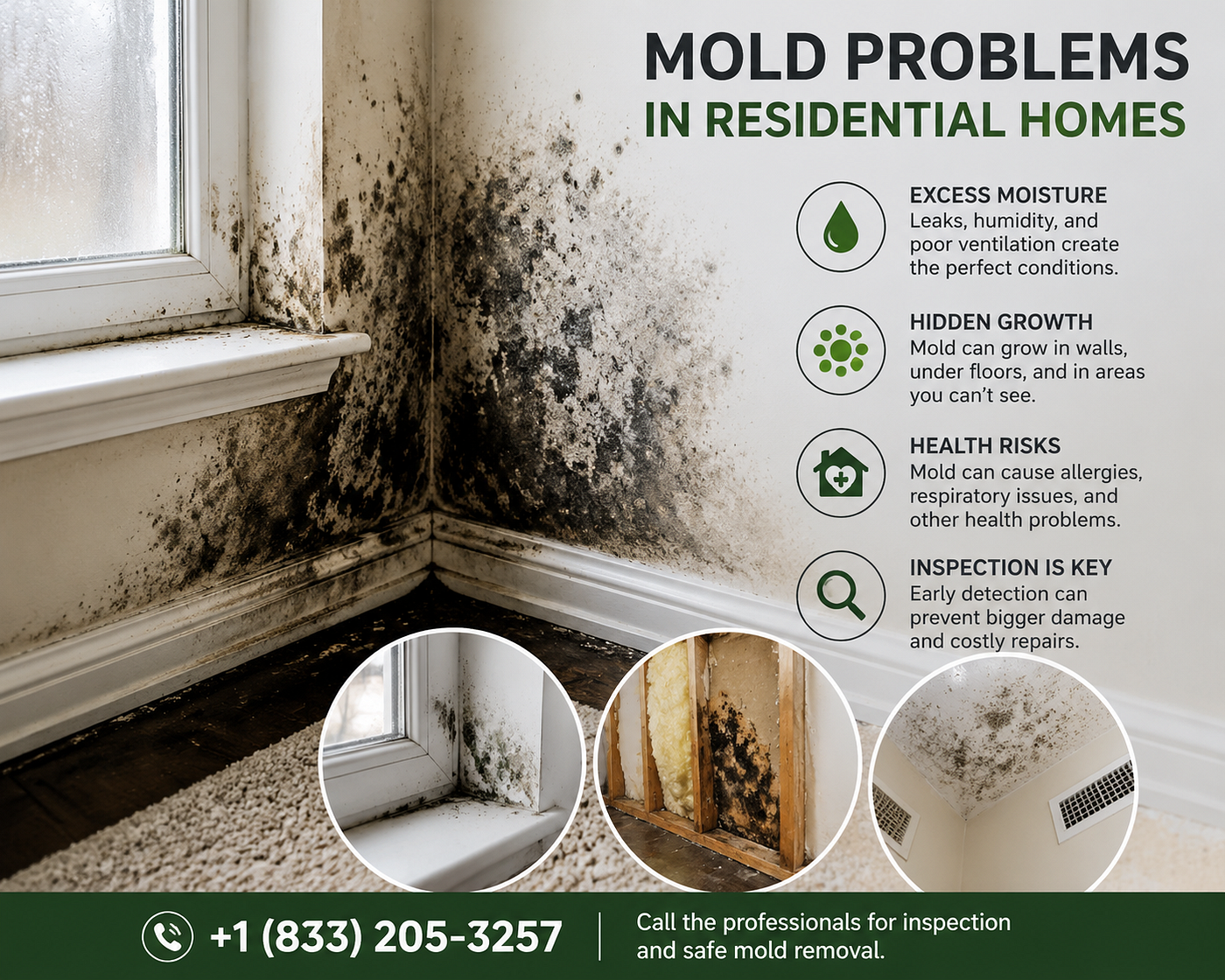 Mold Problems in Residential Homes