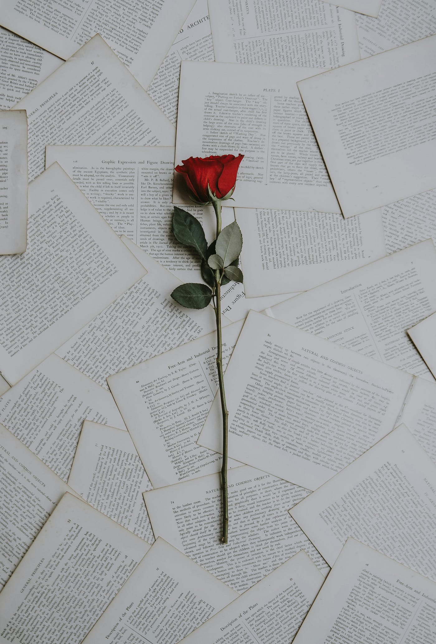 Love Letters To The Women Who Slept With My Husband | by The Wife | Heart  Affairs | Medium