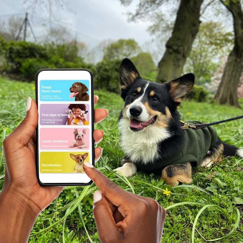 Best Dog Training Apps Discovering the Best Dog Training Apps for Effective Canine Coaching by Javed Aslam Medium