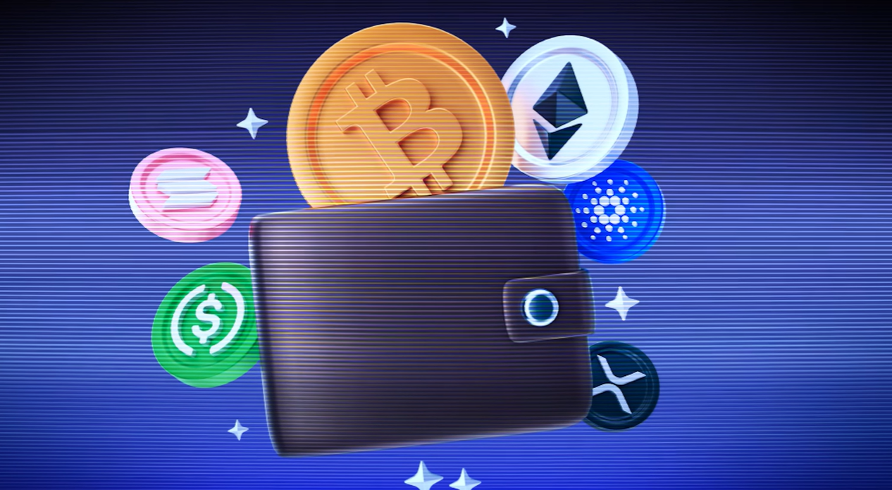 TOP 6 BEST Crypto Wallets For 2025 Are Your Coins Safe | by Dominalt | Coinmonks | Medium