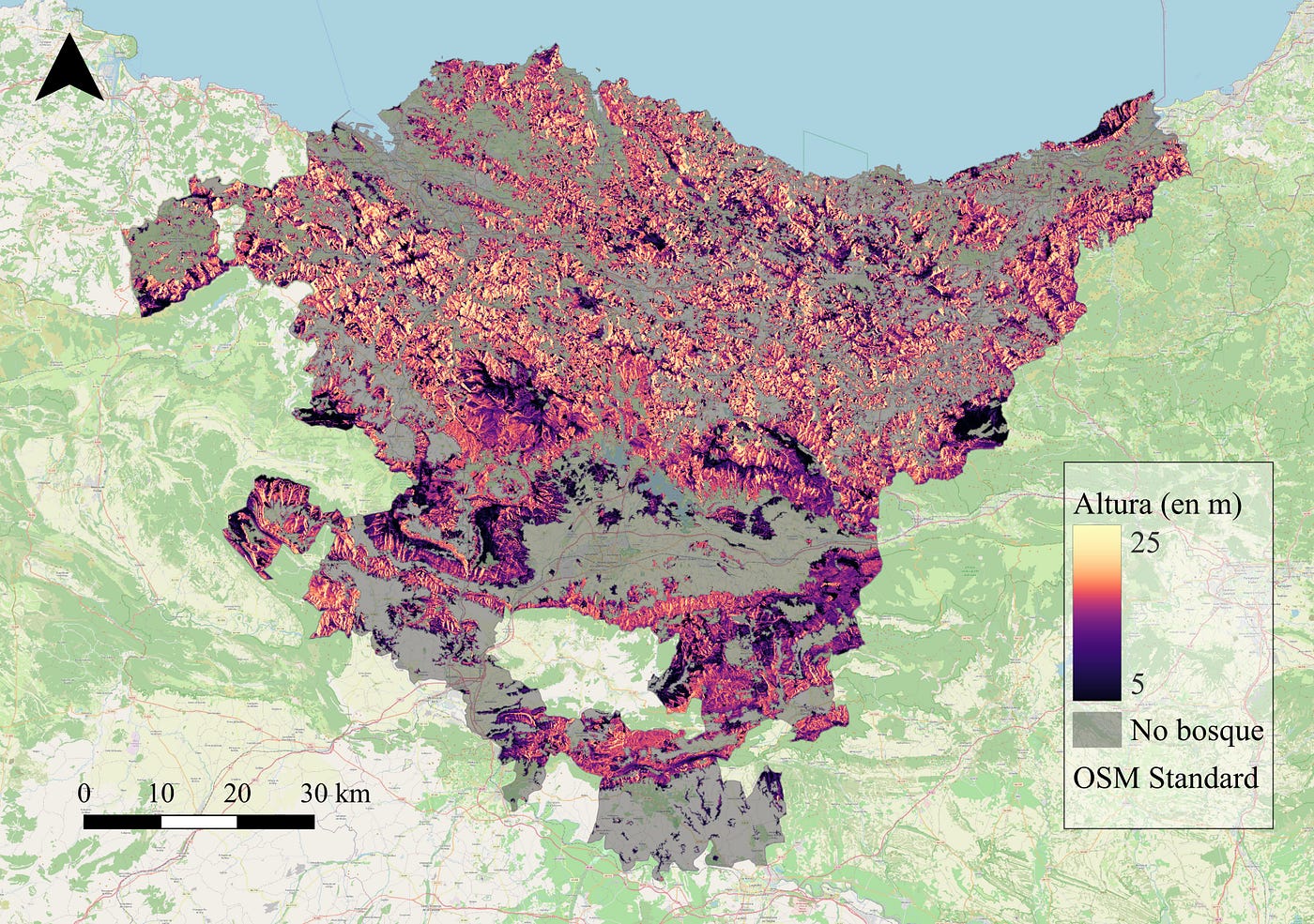 Example of application: a canopy height map of the Basque Country, created by combining spaceborne LiDAR data with satellite imagery using deep learning models. (Image by the author)
