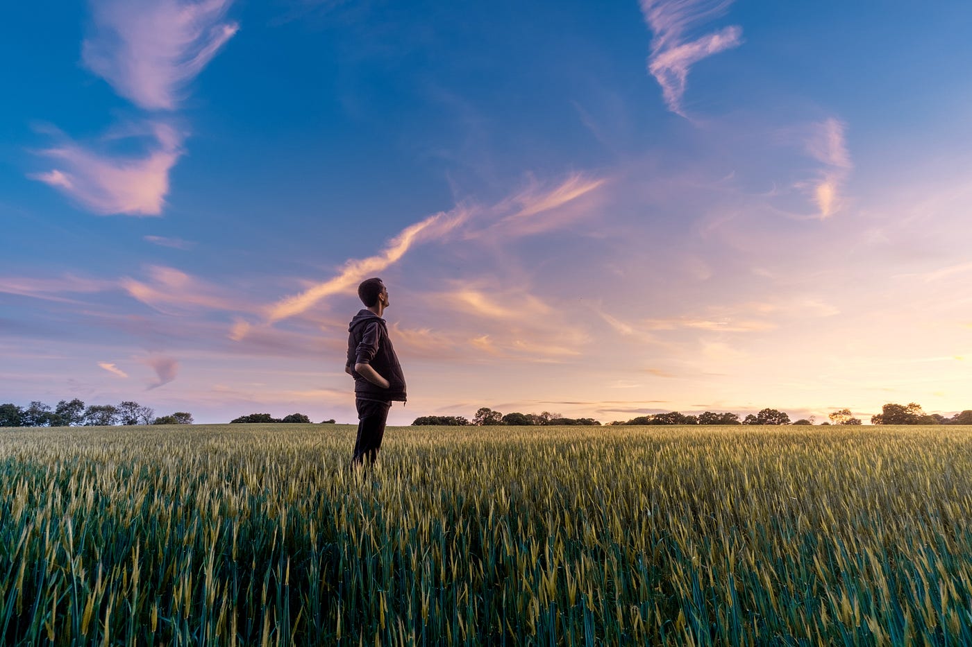 How To Think Like a Farmer To Be Successful in Life | by Sufyan Maan, M.Eng  | ILLUMINATION | Medium