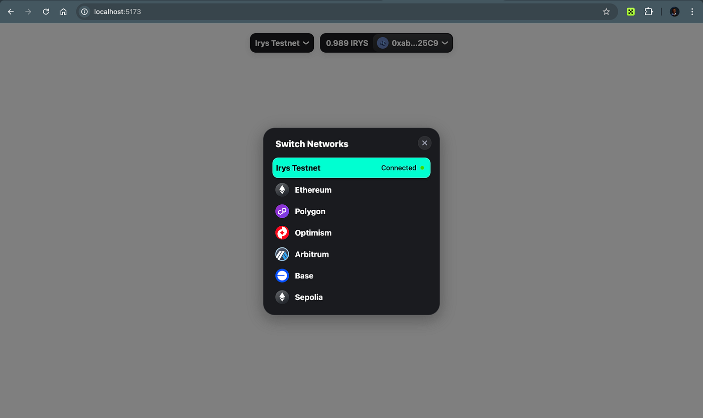 How to Integrate Irys into Wagmi + RainbowKit Wallet Connect | by Zizi  Crypto | Medium
