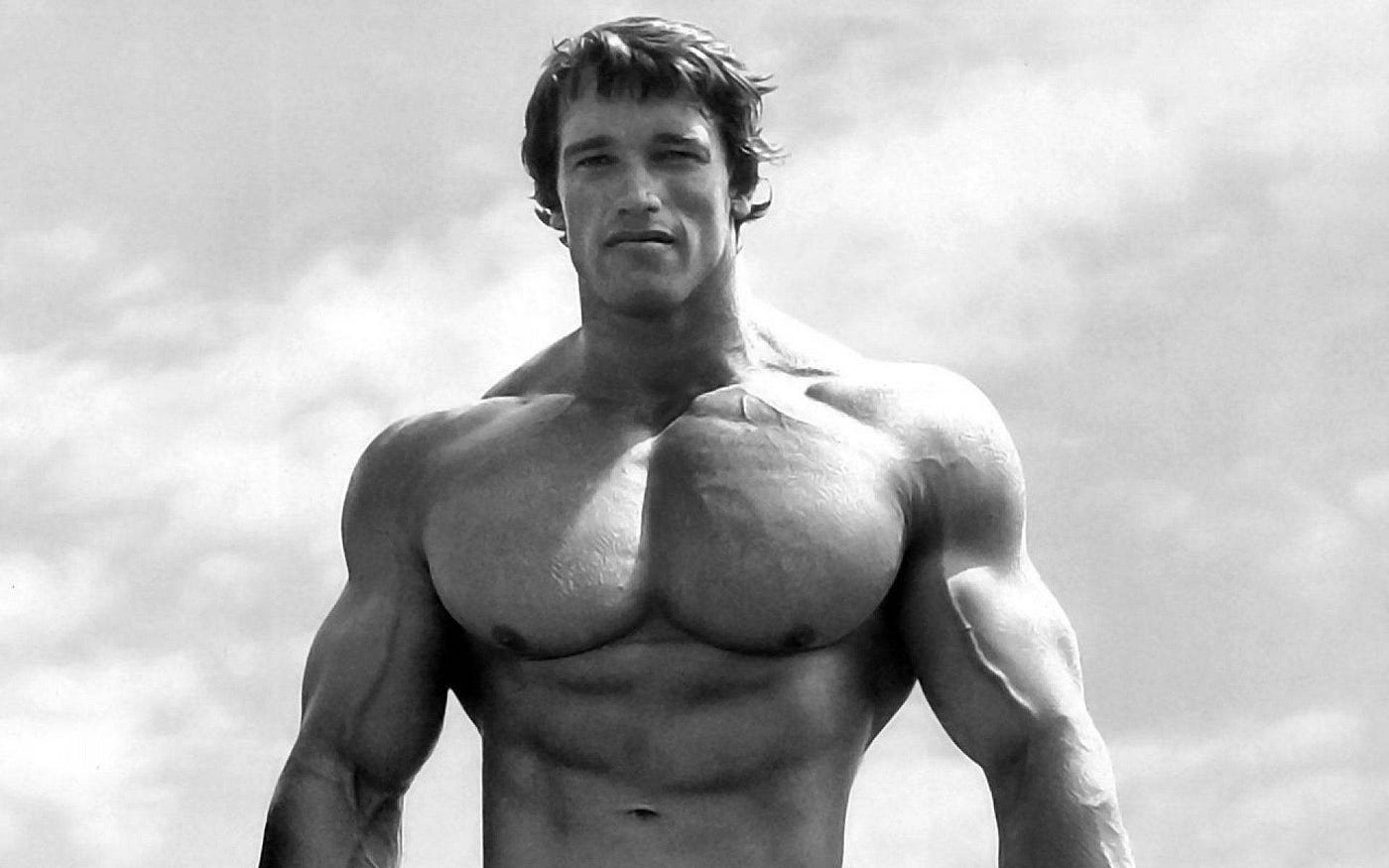 Arnold Schwarzenegger: From Bodybuilding to Hollywood Stardom, by Sumit  Singh