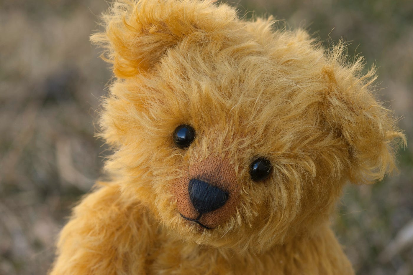 The Road from Teddy Bears to Mental Health Issues | by Sheryll ...