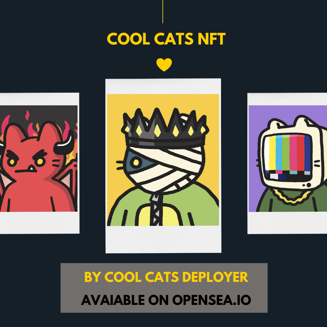 10 CATS NFTS. Feline Frenzy 10 Cat NFTs to Complete… | by NFT Addictio |  Medium