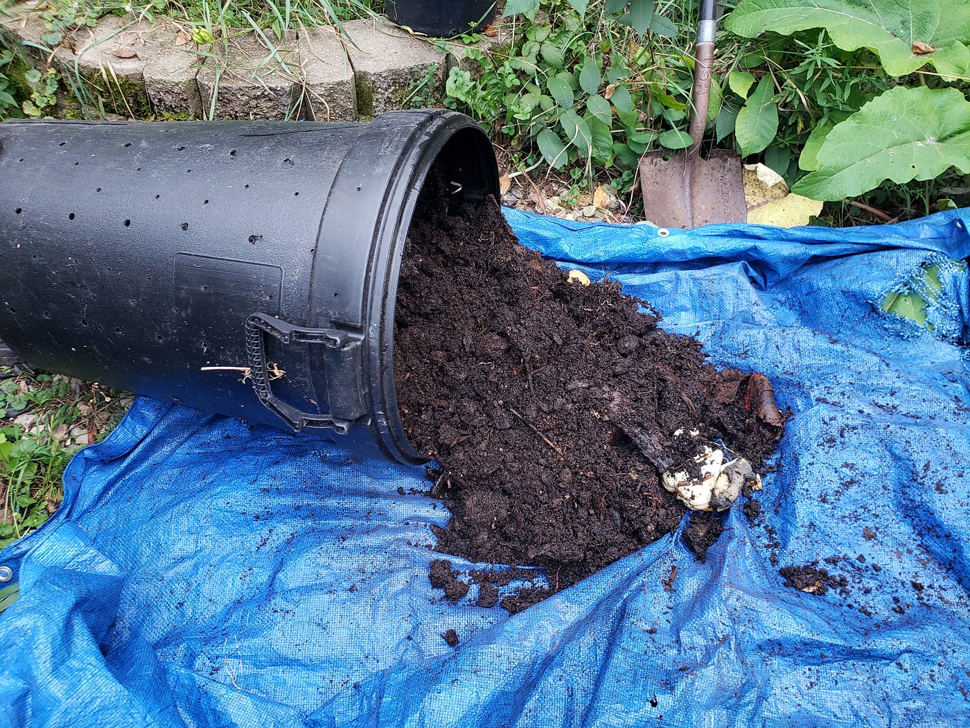 Should I Cover My Compost Bin? Essential Tips for Success