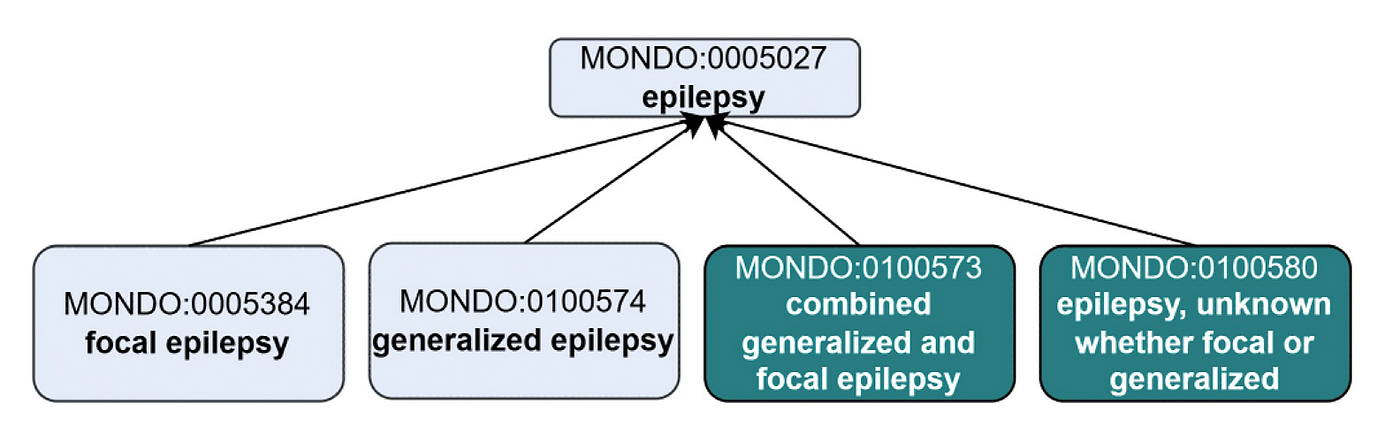 Creation of new ‘epilepsy type’ terms to align with the ILAE. Existing Mondo terms are depicted in lighter shading and new terms that were added as an outcome of the workshop are depicted in darker shading. Note, this is just a partial representation of the classification, not all of the asserted subclasses of ‘epilepsy’ are depicted. (This is Figure 2 from the recent Epilespy Disease Classification publication.)