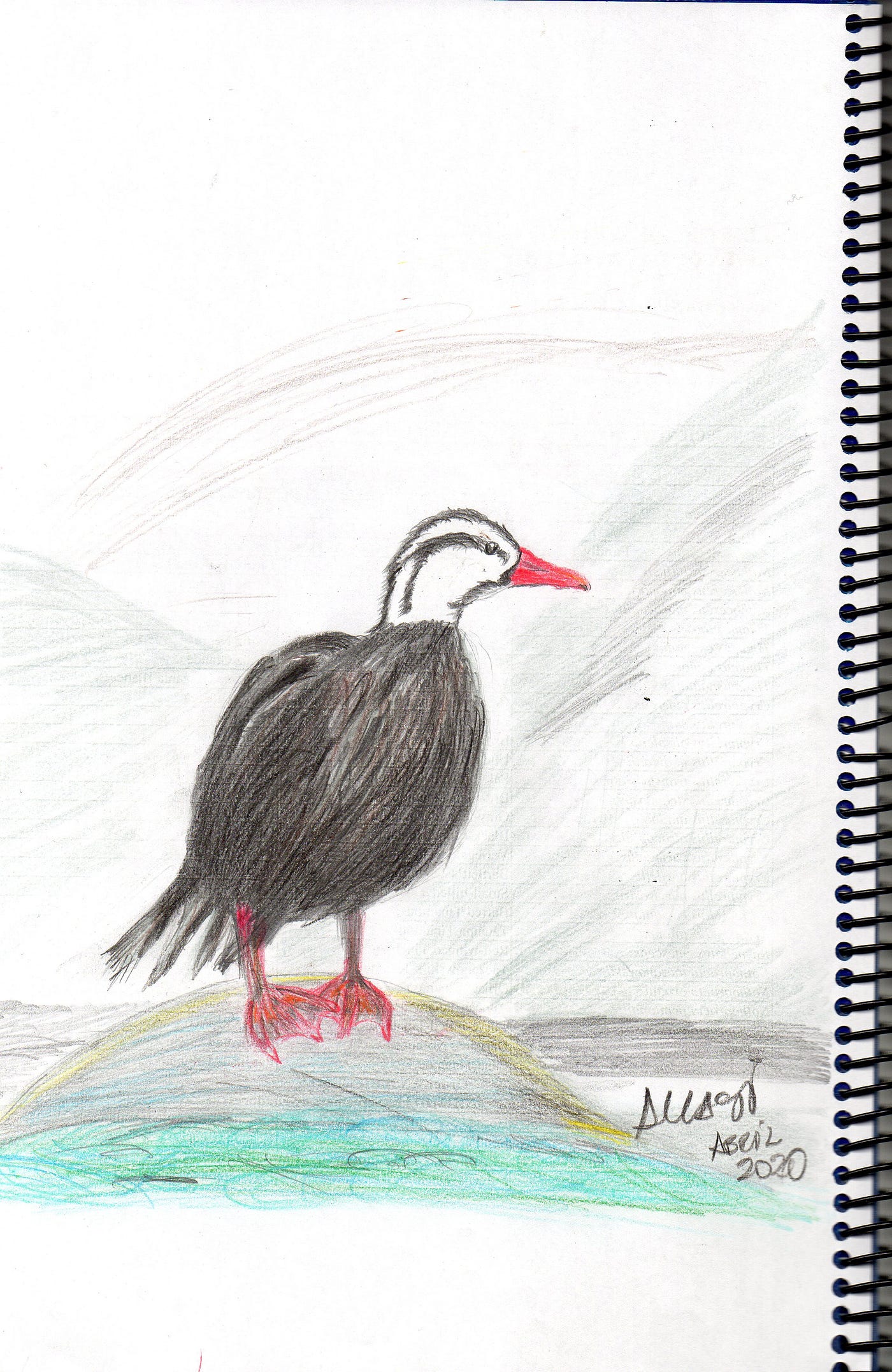 Historias de animales en cuarentena. Día 9