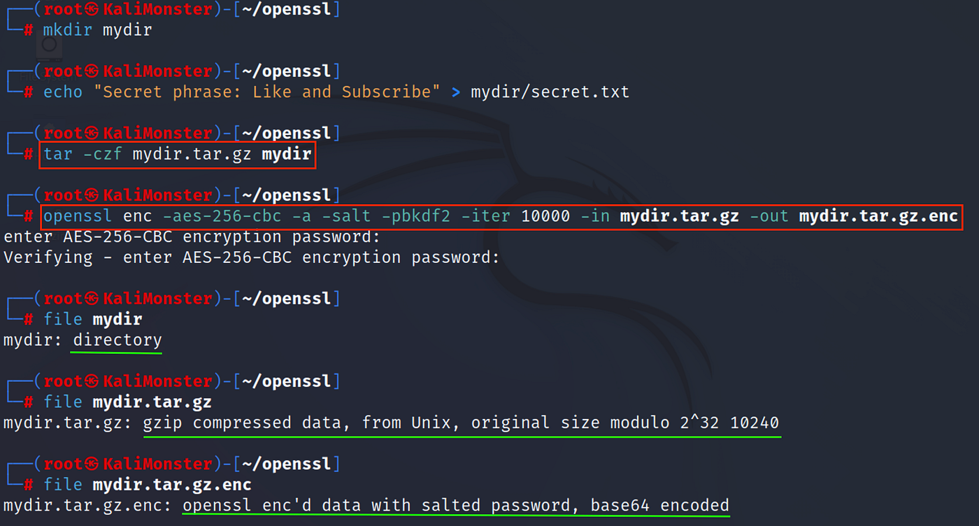 OpenSSL : SSL/TLS Toolkit [Basics] | by 0liverFlow | Medium